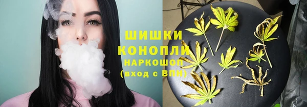 винт Богданович
