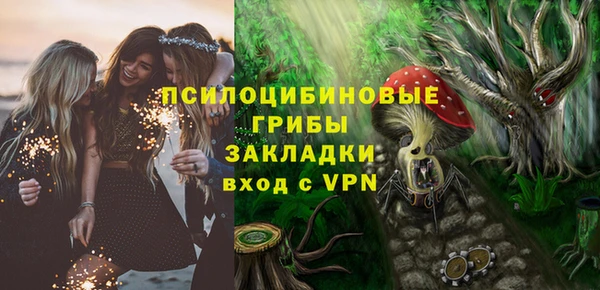 винт Богданович