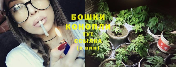 таблы Богородицк