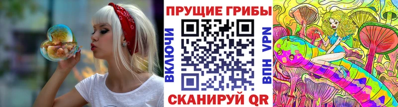 где купить наркоту  площадка как зайти  Псилоцибиновые грибы Psilocybe  Кедровый 