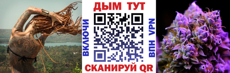 Бошки Шишки семена  Кедровый 